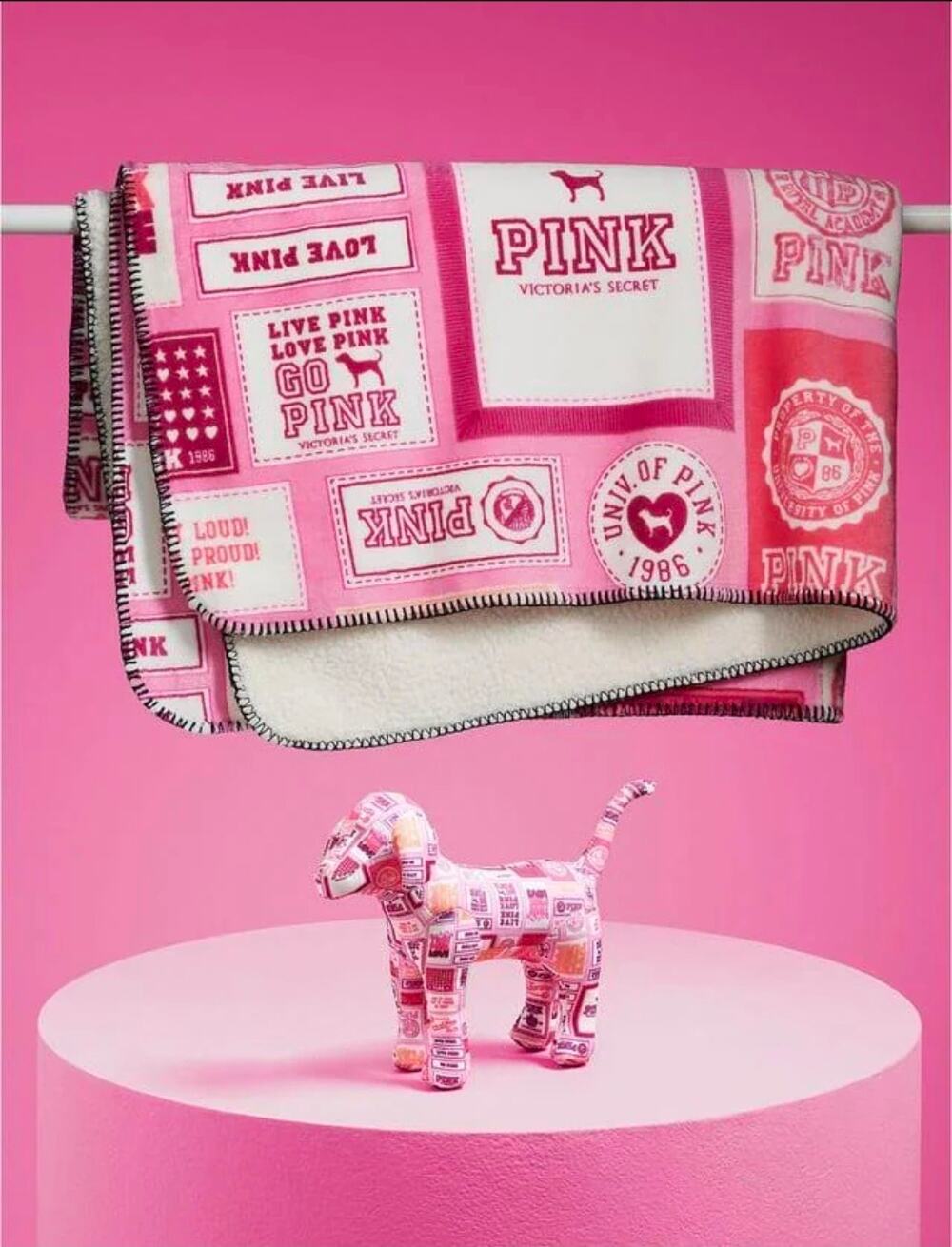 Victoria's Secret VS PINK Pink Friday Patchwork Blanket and Mystery Pup